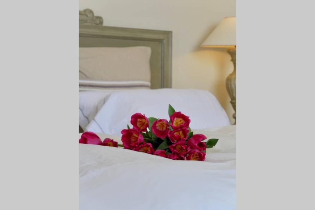 Bord De Mer - Ac, Wifi, Chic, Sea View, Beach 2 Minutes Walk أنتيب المظهر الخارجي الصورة